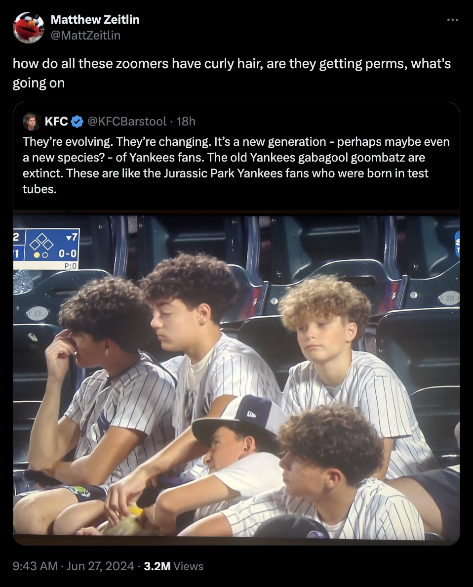 screenshot - Matthew Zeitlin how do all these zoomers have curly hair, are they getting perms, what's going on Kfc They're evolving. They're changing. It's a new generation perhaps maybe even a new species? of Yankees fans. The old Yankees gabagool goomba
